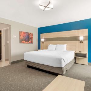 King Suite with Sofa Bed - Non-Smoking