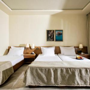 Family Room with Mountain View (2 Adults + 2 Children)