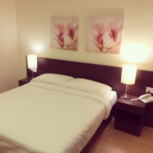 Standard Double or Twin Room-no window