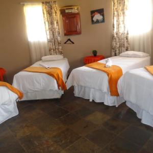 Mixed Dormitory Room