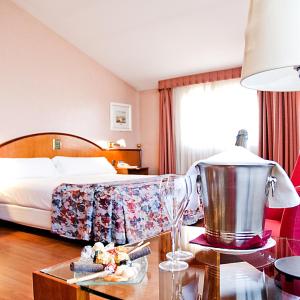 Junior Suite with Terrace