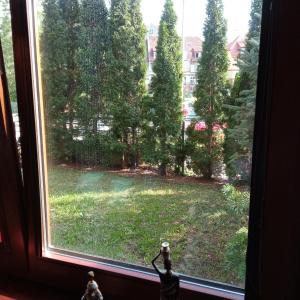 Double Room with Private External Bathroom