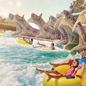 Deluxe King Room with Sea View and Balcony - Theme Park Access