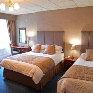 Large Double or Twin Room