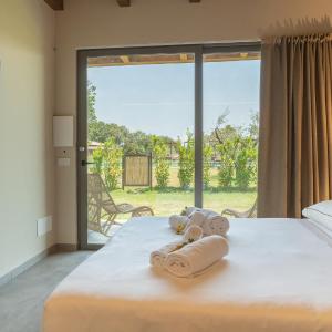 Deluxe Double or Twin Room with Pool View