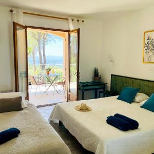 Triple Room with Terrace