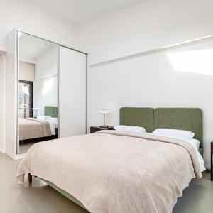 One Bedroom with Skylight & Terrace (A17)