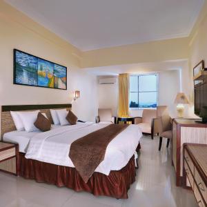 Deluxe Double or Twin Room