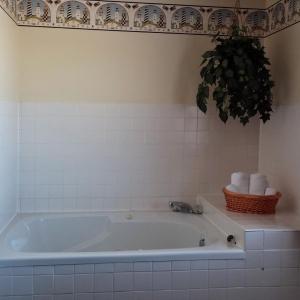 King Room with Spa Bath