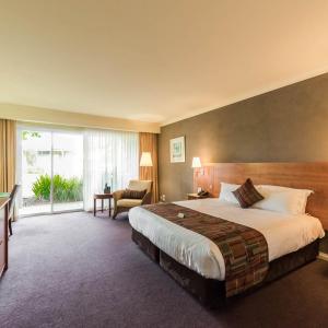 Executive Queen Room