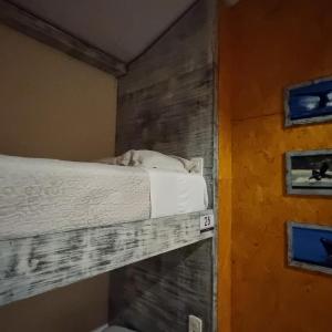 Single Bed in Female Dormitory Room
