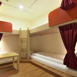 Bunk Bed in Female Dormitory Room  