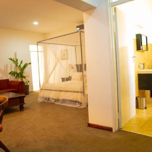 King Room with Garden View
