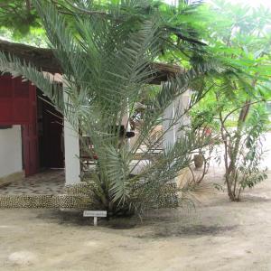 Triple Room with Garden View