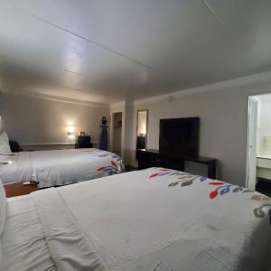 Double Room - Non-Smoking 