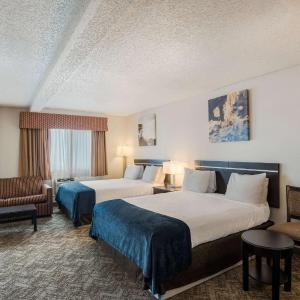 Mini Suite with Three Queen Beds and Sofa Bed - Non-Smoking
