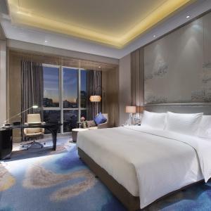 Superior Queen Room with City View