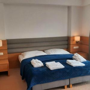 Comfort Twin or Double Room