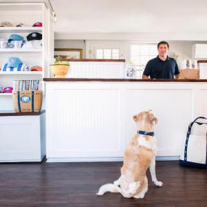 One Bedroom Cottage Pet Friendly