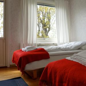 Single Room with Shared Shower and Toilet