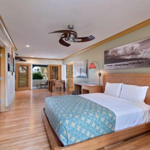 King Room with Garden View