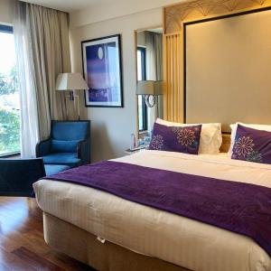 Special Suite - 1 Double Bed
