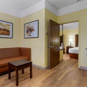 Mini Queen Suite - Non-Smoking