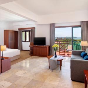 Deluxe King Suite
