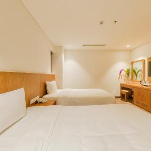 Standard Double or Twin Room No Window