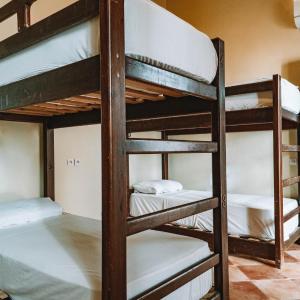 Bed in 6-Bed Dormitory Room