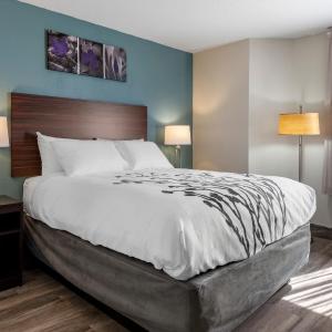 King Room - Accessible/Non-Smoking