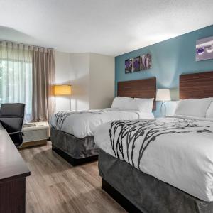 Double Room with Two Double Beds - Non-Smoking