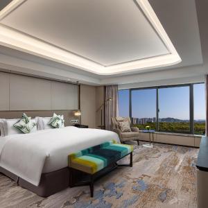 Deluxe Suite ( The picture of the room is for reference only. The specific room type shall prevail)