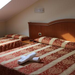 Basic Triple Room