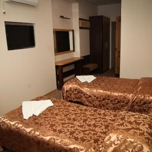 Standard Suite