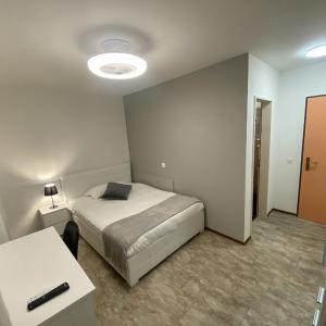 Large Single Room
