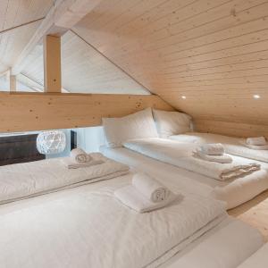 Alpine Apartment