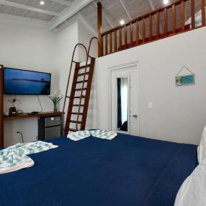 Loft Suite 3-53