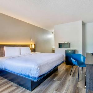 King Room - Disability Access - Non-Smoking