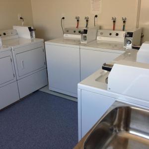 Budget Single Room