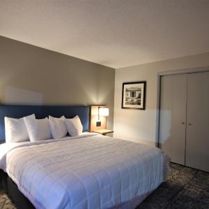 King Suite - Mobility Access/Non-Smoking