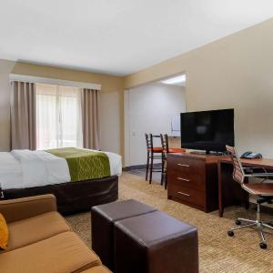 Efficiency One Room Suite with Sofa Bed - Non Smoking