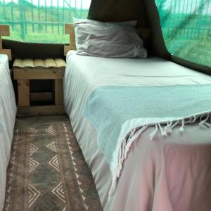 Standard Tent
