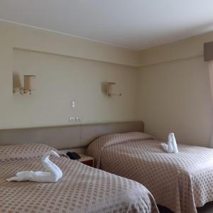 Twin Room with 2 Double Beds