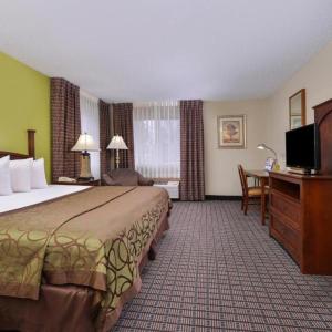 King Room with Roll-In Shower - Disability Access