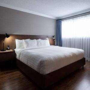 King Suite with Spa Bath