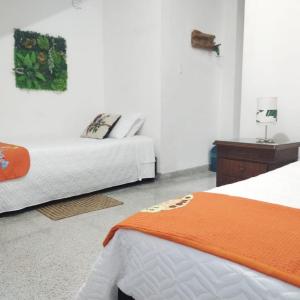 Twin Room - Disability Access