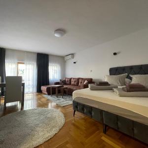 Deluxe One-Bedroom Apartment