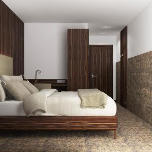 King Room with Roll-In Shower - Disability Access