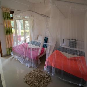 Double Room with Balcony (2 Adults + 1 Child)